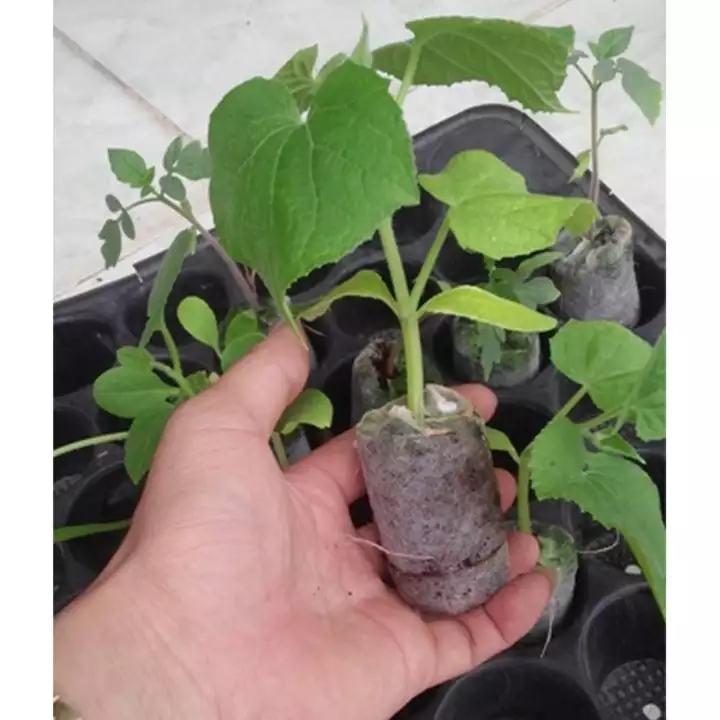 093c3369fb64292f2bdc260485a982cc-2