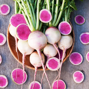 Gói 20 hạt giống củ cải vỏ xanh ruột đỏ Raphanus Sativus