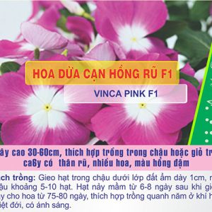 Gói 7 Hạt Giống Hoa Dừa Cạn Hồng Rũ -NanuSeeds