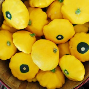 Gói 1GR hạt giống Bí Đĩa Bay Nhiều màu