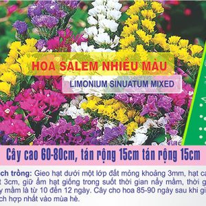 Gói 50 Hạt Giống Hoa Salem Nhiều Màu - Nanuseeds