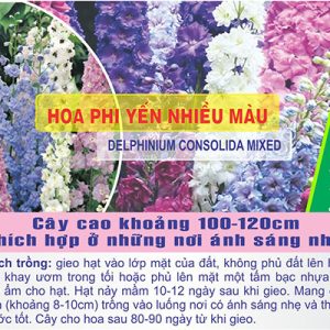 Gói 50 Hạt Giống Hoa Phi Yến Nhiều Màu - Nanuseeds