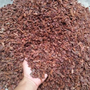 Vỏ thông đỏ xay vụn - Giá thể trồng lan chuyên dụng hàng đẹp