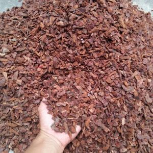Vỏ thông đỏ xay vụn - Giá thể trồng lan chuyên dụng hàng đẹp