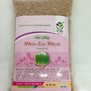 Gói 1kg Hạt giống mầm lúa mạch - đại mạch