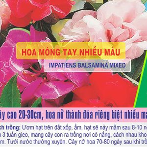 Gói 50 Hạt Giống Hoa Móng Tay Nhiều Màu