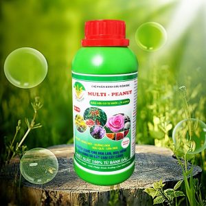 Chế phẩm bánh đầu Multi-Peanut