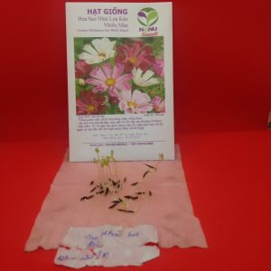 Gói 30 hạt giống hoa sao Nháy loa kèn nhiều màu