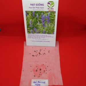 Gói 50 hạt giống hoa xác pháo xanh