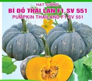 Gói 5 hạt giống Bí Đỏ Thái Lan F1 SV 551