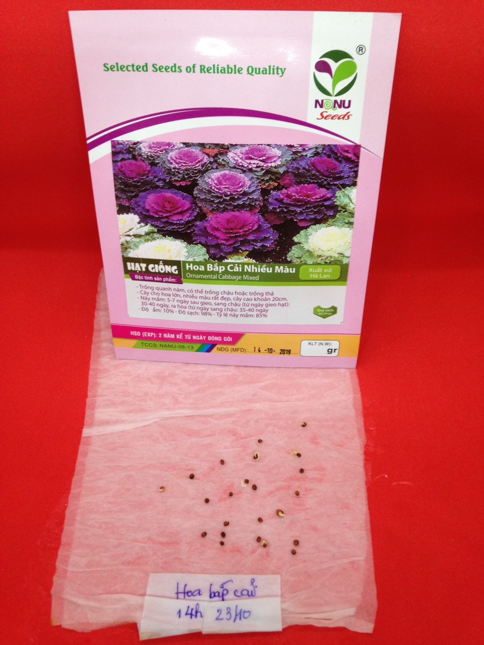 Gói 0.3g hạt giống bắp cải lai