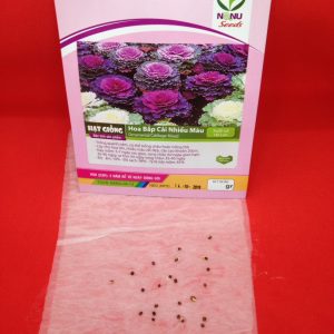 Gói 20 hạt giống hoa bắp cải nhiều màu