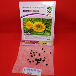 Gói 30 hạt hướng dương Nga Kép Lùn