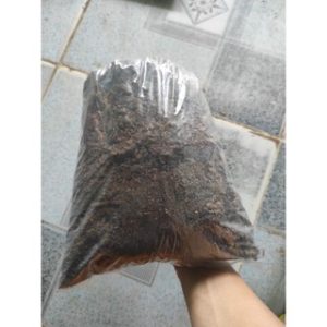 Phân bò khô nguyên chất - Gói 2dm3 - CayGiongTot