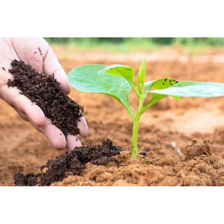 Gói 1kg phân hữu cơ Nhật Bản 4-3-3 chuyên dụng trồng hoa và cây ăn trái