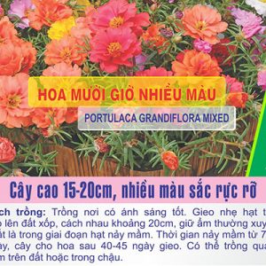 Gói 100 Hạt Giống Hoa Mười Giờ Nhiều Màu - Nanuseeds