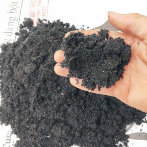 Tro trấu  (túi 2dm3) - CayGiongTot