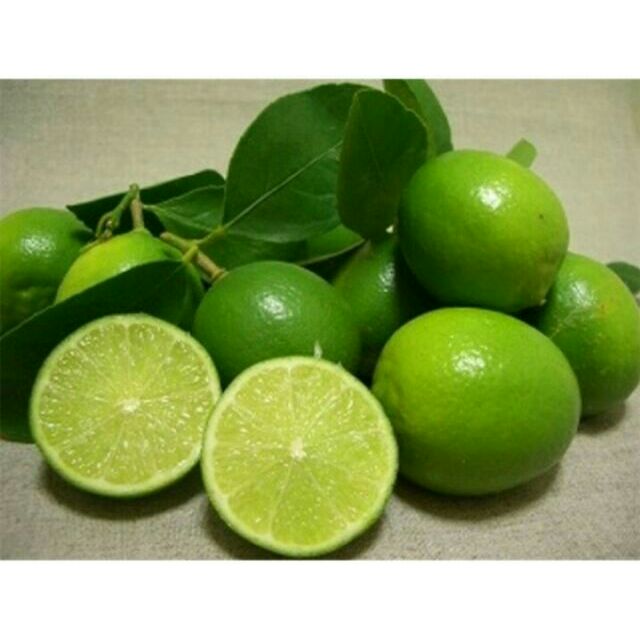 Combo 1 chanh ko hạt 1 tắc giảm chỉ còn 50,000 đ