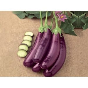 Gói 0.1GR hạt giống Cà Tím Ruột Xanh F1 SV 47 (Da tím nâu, ruột xanh)