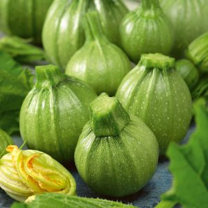 Gói 2GR hạt giống Bí Ngòi Xanh Quả Tròn