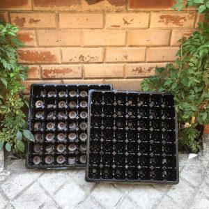 Combo 5 Khay ươm 49 lỗ chuyên dụng cho viên nén ươm hạt loai 1 dày, bền, đẹp