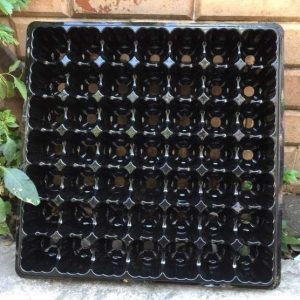 Combo 5 Khay ươm 49 lỗ chuyên dụng cho viên nén ươm hạt loai 1 dày, bền, đẹp