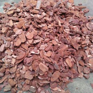 Vỏ thông đỏ băm nhỏ - Giá thể trồng lan chuyên dụng size 2-3cm hàng đẹp
