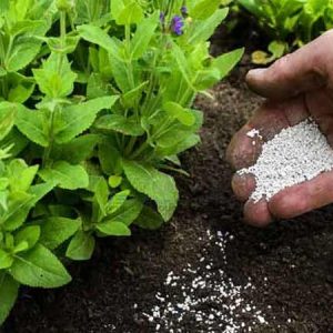 Gói 1kg vôi bột nông nghiệp cải tạo đất, khử chua, xử lý giá thể, khử trùng đất, vệ sinh chuồng trại