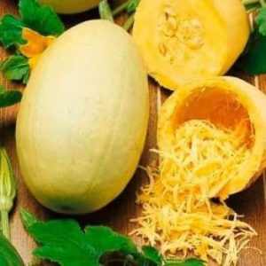Gói 5 hạt giống bí sợi mì Ý (Cucurbita pepo)