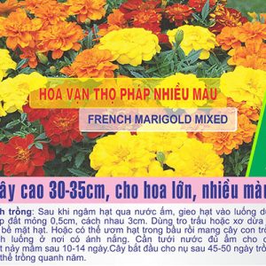 Gói 50 Hạt Giống Hoa Vạn Thọ Pháp Nhiều Màu - Nanuseeds