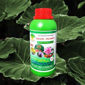 Chế phẩm bánh đầu Multi-Peanut