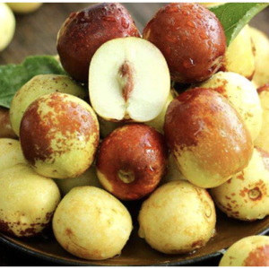 Cây giống hồng táo - táo tàu Dongzao chịu nhiệt 47,6 độ C, thu trái tháng 9-10 hàng năm