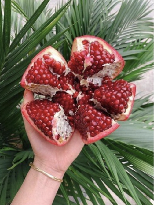 Chậu cây lựu Ấn Độ đang hoa trái