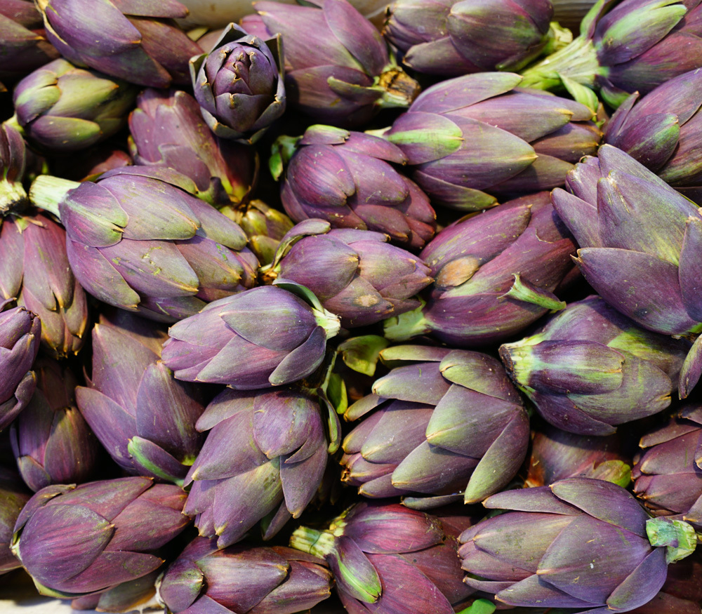 a7a7ae87c9dcac8558e8df1eece45b6f-1 Gói 1GR hạt giống Atiso Đà Lạt - Bông Tím