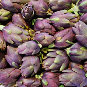 Gói 1GR hạt giống Atiso Đà Lạt - Bông Tím