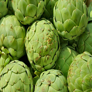 Gói 1GR hạt giống Atiso Đà Lạt - Bông Xanh