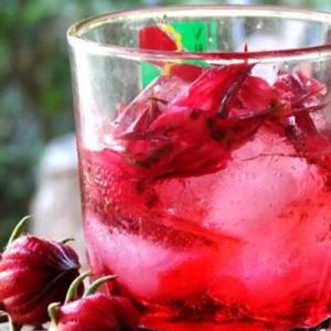 Gói 1g hạt giống atiso đỏ