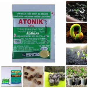 ATONIK - Phân bón lá - Kích thích nảy mầm gói 10ml