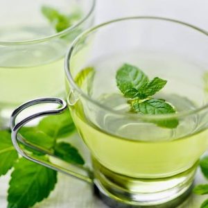 Chậu cây Bạc Hà Nhật - Japanese Mint