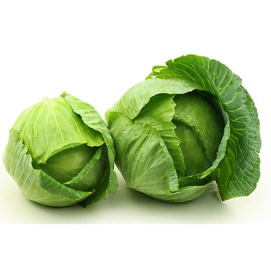 Gói 0.3g hạt giống bắp cải lai