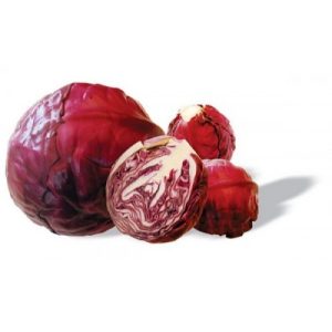 Gói 1g hạt giống bắp cải đỏ F1 Red Star