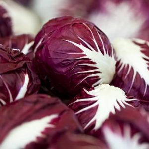 Gói 1g hạt giống bắp cải đỏ F1 Red Star