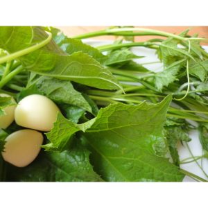 Gói 2g hạt giống bầu ăn ngọn