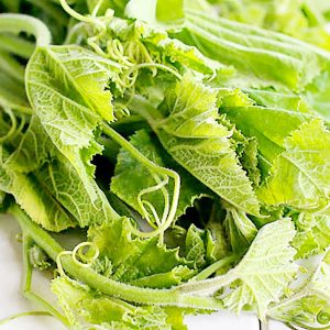 Gói 2g hạt giống bầu ăn ngọn