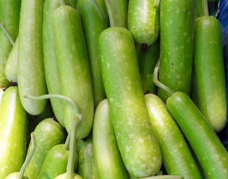 Gói 2g hạt giống bầu sao F1