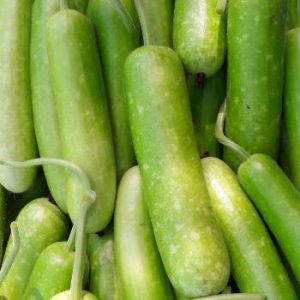 Gói 2g hạt giống bầu sao F1