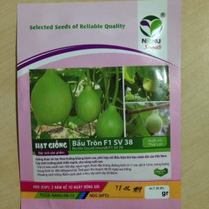 Gói 2g hạt giống bầu tròn F1