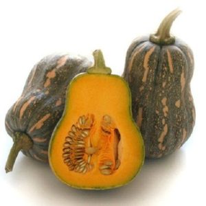 Gói 1g hạt giống bí hạt đậu F1