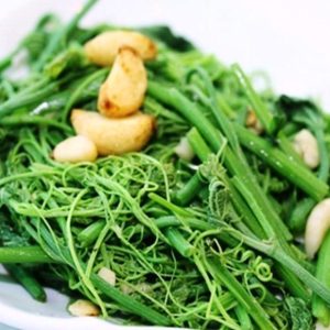 Gói 10g hạt giống bí ngọn siêu đọt