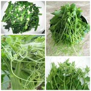 Gói 10g hạt giống bí ngọn siêu đọt